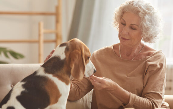 Los Angeles estate planning attorney